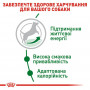 Сухий корм для собак Royal Canin Mini Adult 8+ 800 г (30020089) Сухий корм для собак Royal Canin Mini Adult 8+ 800 г (30020089)