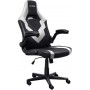 Крісло для геймерів Trust GXT 703W Riye White (25130)
