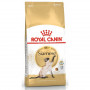 Сухий корм для кішок Royal Canin Siamese Adult 400 г (2551004) Сухий корм для кішок Royal Canin Siamese Adult 400 г (2551004)