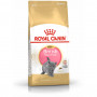 Сухий корм для кошенят Royal Canin British Shorthair Kitten 400 г (2566004)