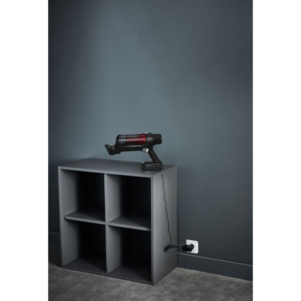 Акумуляторний пилосос Rowenta X-Pert 7.60 Animal RH6A73WO