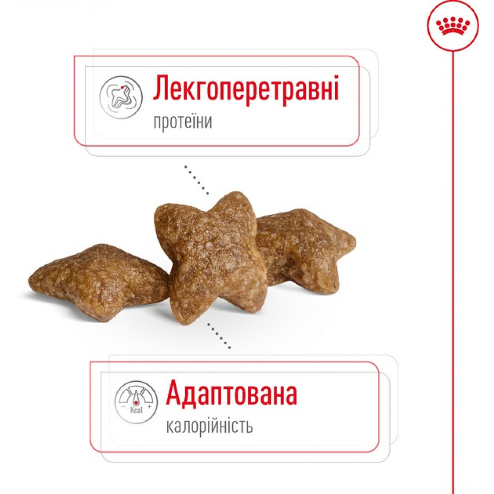 Сухий корм для собак дрібних порід вагою до 10 кг від 10 місяців Royal Canin Mini Adult 800 г (30010800)
