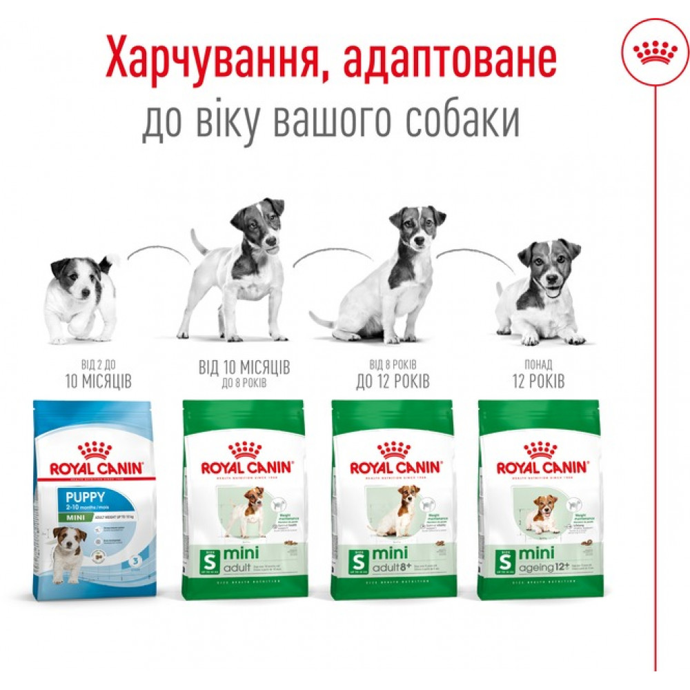 Сухий корм для собак дрібних порід вагою до 10 кг від 10 місяців Royal Canin Mini Adult 800 г (30010800)