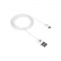 Кабель Canyon USB - Lightning (M/M) 1 м, White (CNE-CFI1W) Кабель Canyon USB - Lightning (M/M) 1 м, White (CNE-CFI1W)