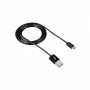 Кабель Canyon USB - MicroUSB (M/M) 1 м, Black (CNE-USBM1B) Кабель Canyon USB - MicroUSB (M/M) 1 м, Black (CNE-USBM1B)