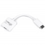 Адаптер Cablexpert DisplayPort - HDMI (M/F), 0.1 м, White (A-DPM-HDMIF-002-W)
