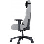 Крісло для геймерів Anda Seat Luna Size L Fabric Grey (AD18-44-G-F)