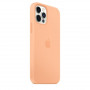 Чохол-накладка Apple Silicone Case with MagSafe для Apple iPhone 12 Pro Max Pistachio (MK053)