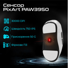 Миша бездротова RAWM ES21Pro Black