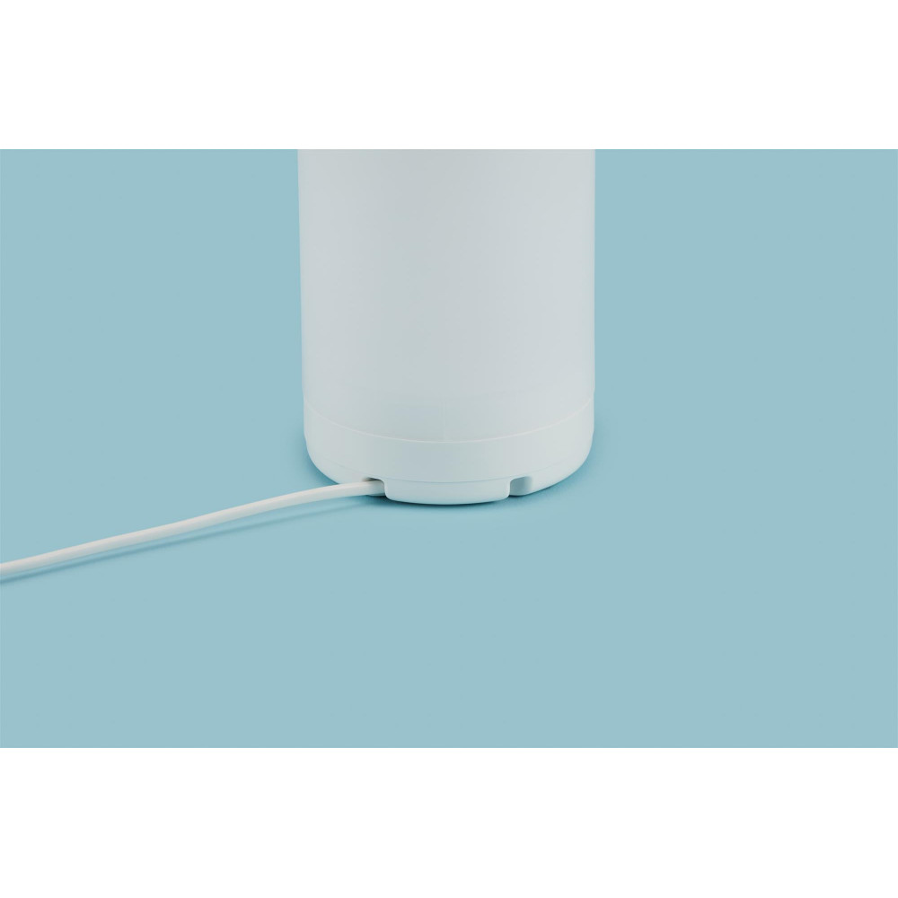 Іригатор Panasonic EW1614W520