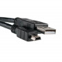 Кабель PowerPlant (KD00AS1219) USB2.0(AM)-MiniUSB(AM), 0.5м, Black Кабель PowerPlant (KD00AS1219) USB2.0(AM)-MiniUSB(AM), 0.5м, Black