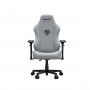 Крісло для геймерів Anda Seat Phantom 3 Pro Size L Fabric Grey (AD18YC-06-G-F) Крісло для геймерів Anda Seat Phantom 3 Pro Size L Fabric Grey (AD18YC-06-G-F)