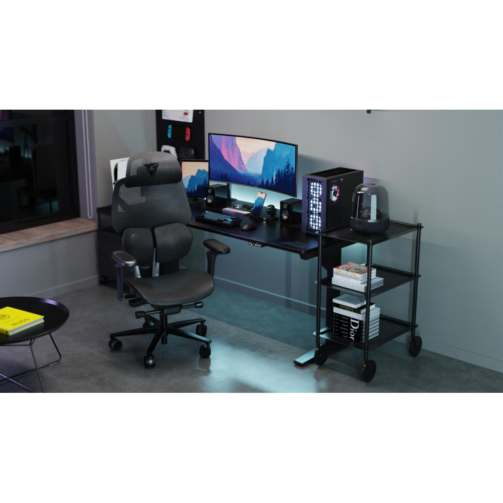 Крісло для геймерів TX3 Flex Pro Mesh Black (TEGC-3076101.12)