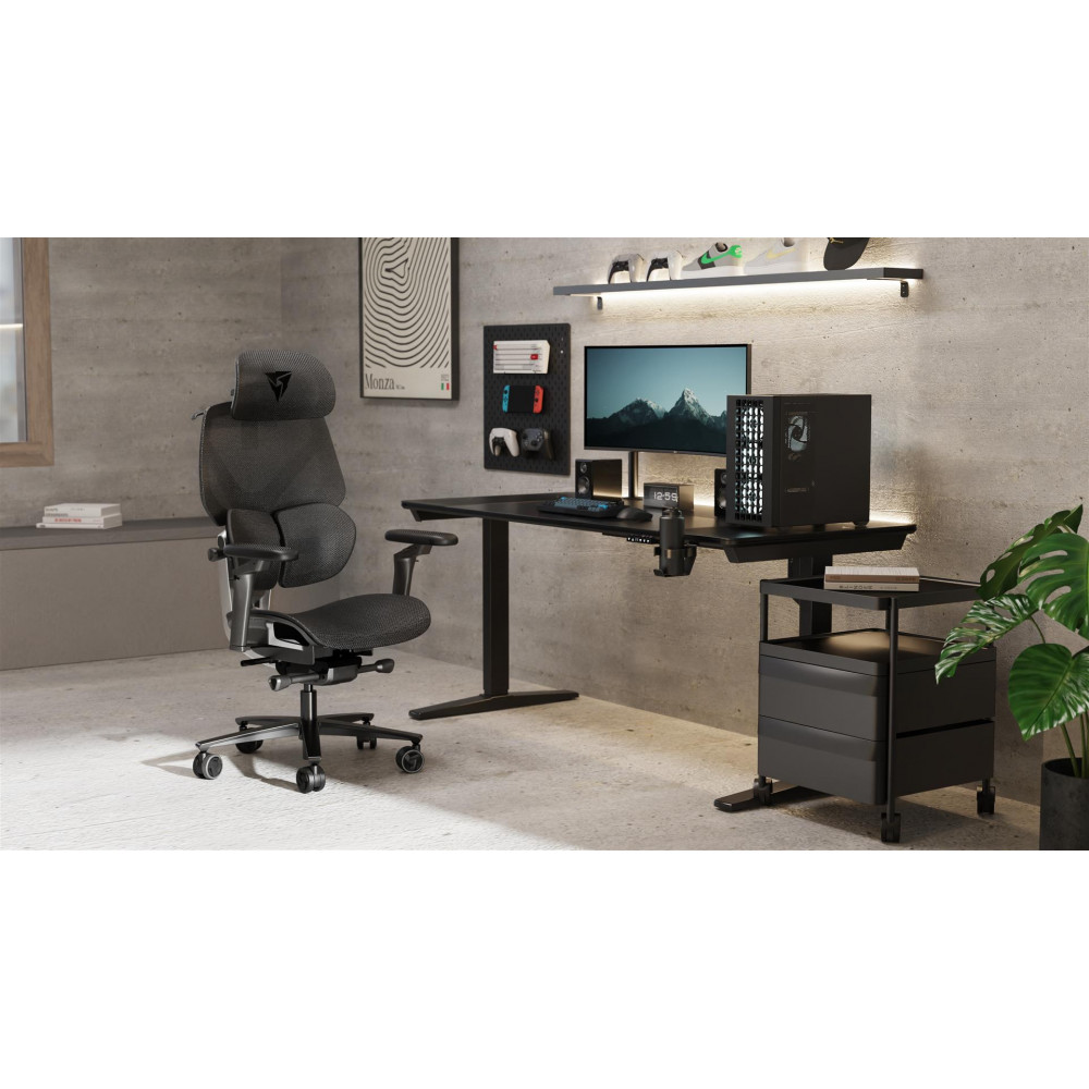 Крісло для геймерів TX3 Flex Pro Mesh Black (TEGC-3076101.12)