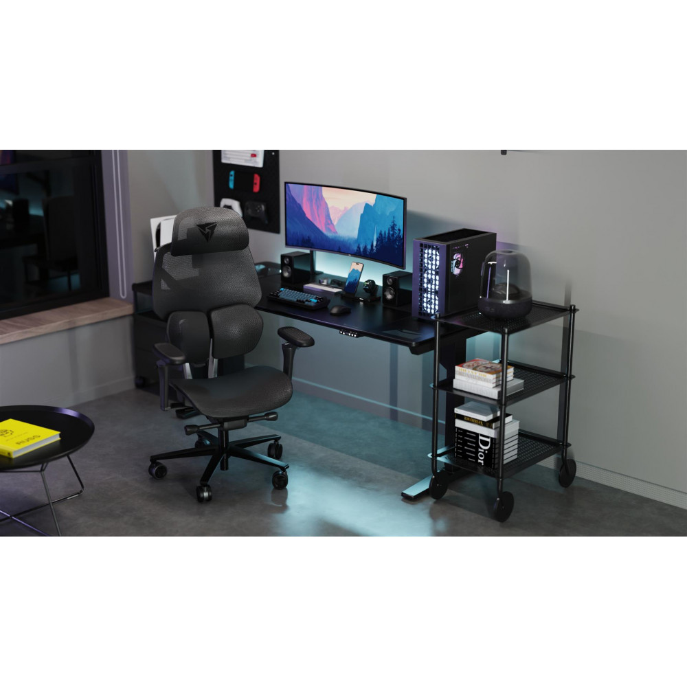 Крісло для геймерів TX3 Flex Pro Mesh Black (TEGC-3076101.12)