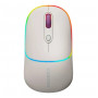 Миша бездротова Canyon MW-22 Dual Band RGB Wireless Rice (CNS-CMSW22RC)