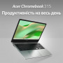 Ноутбук Acer Chromebook 315 CB315-5H-C68B (NX.KPPEU.001) Silver