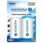 Акумулятор everActive D/HR20 10000mAh BL 2шт