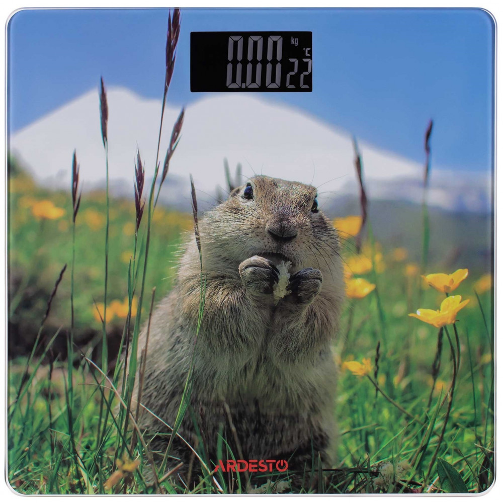 Ваги Ardesto підлогові Marmot, 150кг, AAAx2 в комплекті, скло, багатокольорові