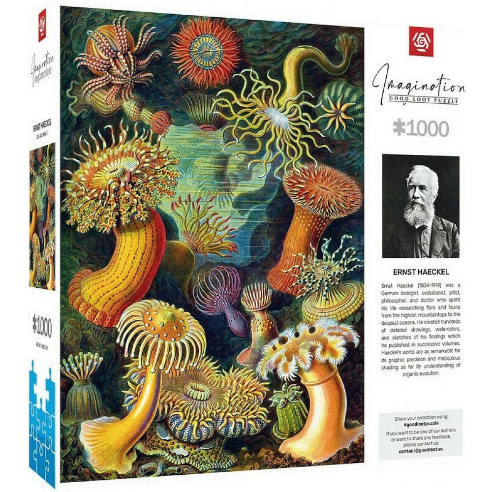 Пазл GoodLoot Imagination: Ernst Haeckel: Sea Anemones 1000 ел.