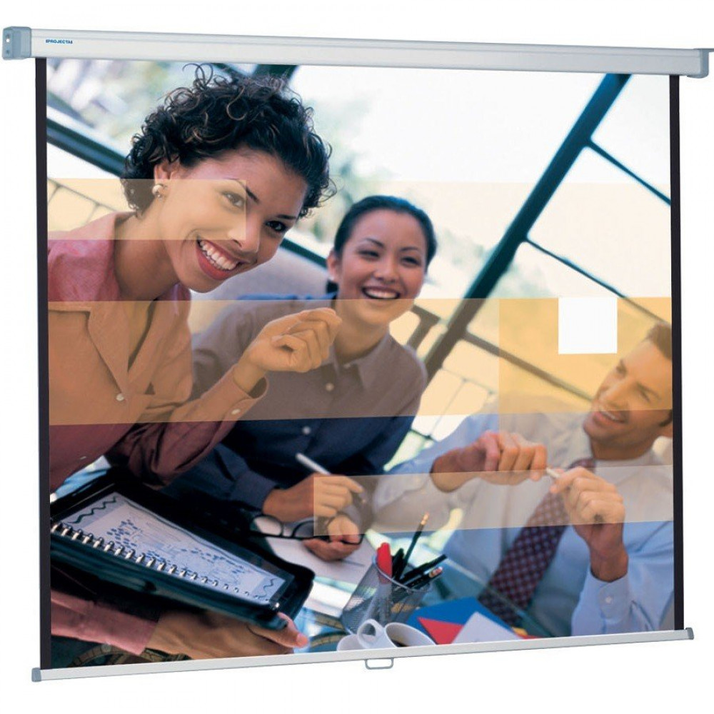 Екран підвісний Da-Lite SlimScreen 1:1, 96