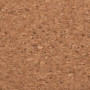 Килимок для миші 2E CORK, S(300x200x2мм), коричневий Килимок для миші 2E CORK, S(300x200x2мм), коричневий