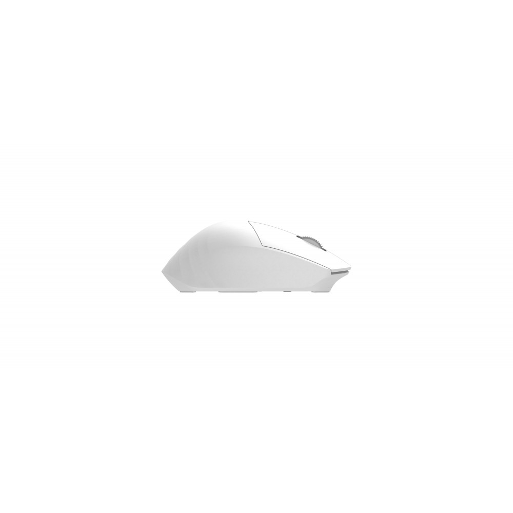 Миша 2E MF280 Silent, WL/BT, білий